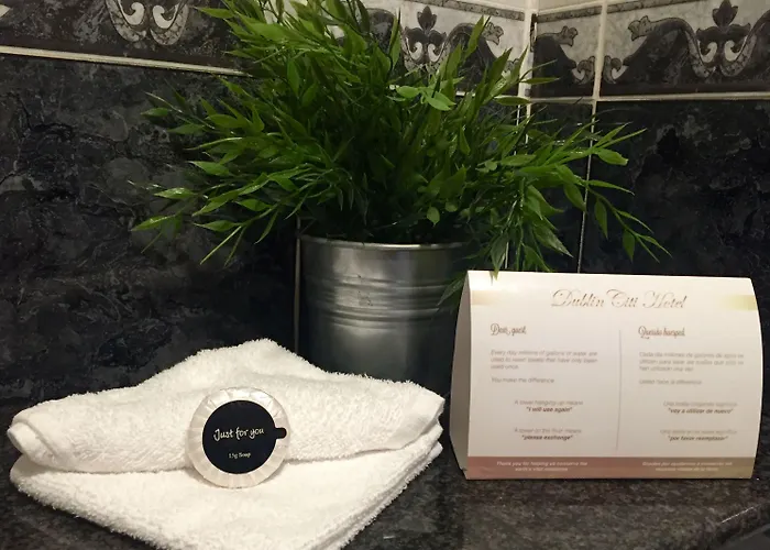 Citi Of Temple Bar מלון 3*