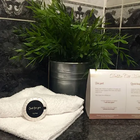 Citi Of Temple Bar Hotel 3*